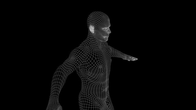 Anatomy 1004: A wireframe anatomical man rotates (Loop).