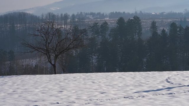 Man goes to a lone tree in depth snow - (4K)