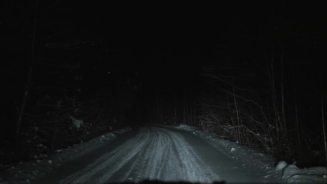 The car moves on a snowy forest road at night. Winter season. View from the front window of the car.