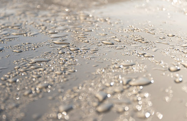 water drops an white background