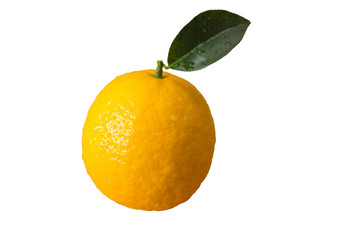 Fresh orange lemon fruit with a small green leaf, Volkamer variety, close-up, isolated