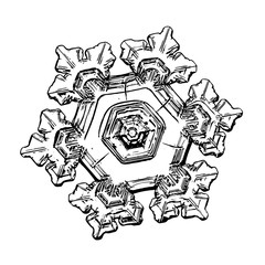 Snowflake isolated on white background. Illustration based on macro photo of real snow crystal: elegant star plate with fine hexagonal symmetry, six short broad arms and complex inner details.