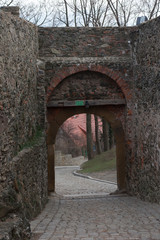 Fototapeta na wymiar gate in the defensive wall of the old castle Bolkow