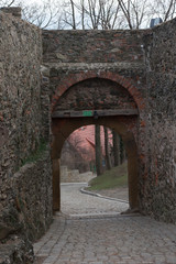 Obraz premium gate in the defensive wall of the old castle Bolkow