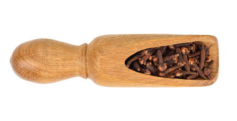 dry spice cloves in wooden spoon isolated on white background. Top view. Flat lay