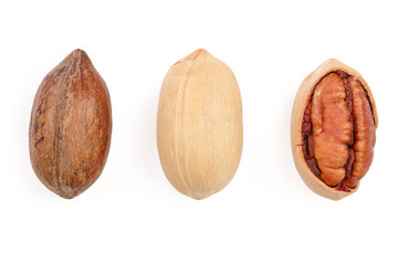 pecan nut isolated on white background. Top view. Flat lay. Set or collection