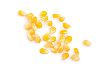 The corn seeds isolated on white background. Top view. Flat lay