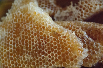 Honey Beehives bee pattern wax