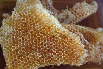 bee hives wax honey pattern texture