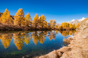 Beautiful reflection in the Grindjisee in Valais