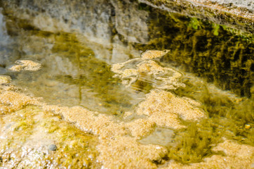 Abandoned public defective water source