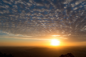 Fototapeta na wymiar Sunset through the trees on a mountain overlooking San Diego