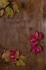 Naklejka na ściany i meble colorful leaves on wooden background red green