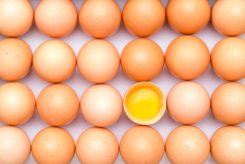 Rows of brown organic eggs and one opened egg with egg yolk on a white background.