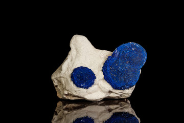 Macro mineral stone Azurite in siltstone against black background