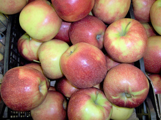fresh fruit apples fruits of flavovirent color are useful to health many vitamin, juice,