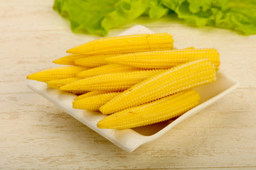 Young baby corn