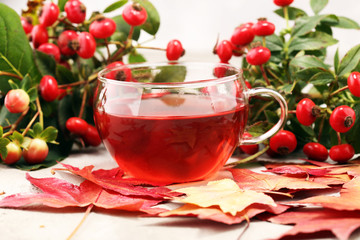 Tea. cup of herbal Dog rose tea with bunch branch Rosehips, types Rosa canina hips. Medicinal plants and herbs composition.