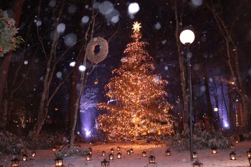 ホワイトクリスマス/雪が降るクリスマスの灯り
