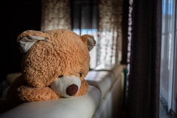  sad bear looks out the window