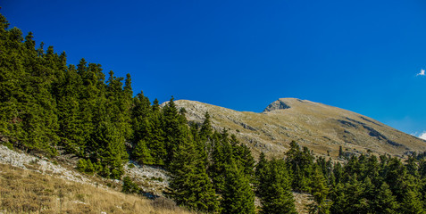 Fototapeta na wymiar panorama of mountain forest ridge horizon beautiful picturesque background scenic landscape wallpaper pattern concept 