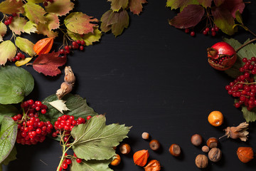 fruits nuts colorful leaves on the background for breakfast lunch dinner