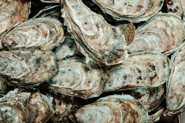 Huîtres de Cancale © VILLAREAL L.