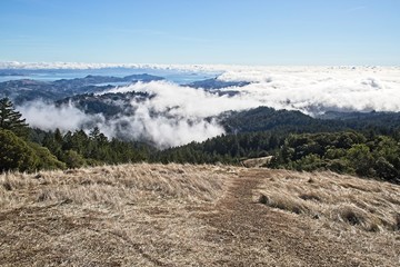 View of the San Francisco Bay Area from the top of Mountain Tamalpais in the Marin County Area, blue sky, fogs covering the bay area
