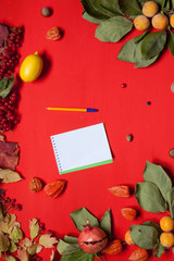 fruits nuts colorful leaves on the background for breakfast lunch dinner