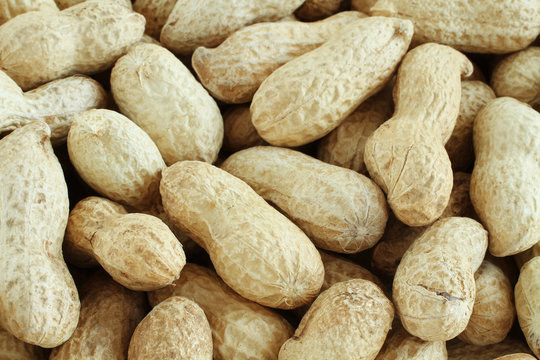 Food background - big unshelled peanuts situated arbitrarily