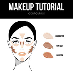 Makeup tutorial Contouring. Contour and highlight, bronze and contour makeup. Makeup woman face chart on white background. Professional face make-up sample. - 240308730