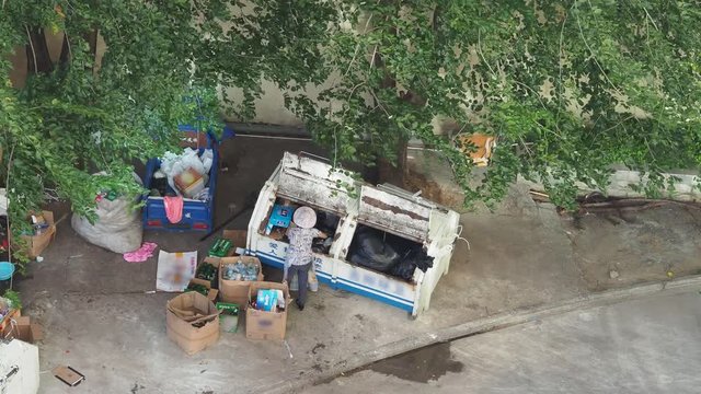 scavenger at garbage refuse