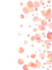 Rose gold petals flying cosmetics vector background.