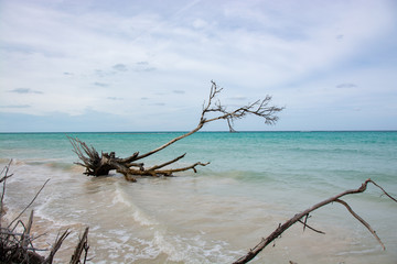 Cayo Jutias Beach in Cuba