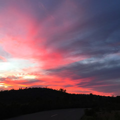Magical pink silhouette sunset reflecting over a serene lake in San Diego