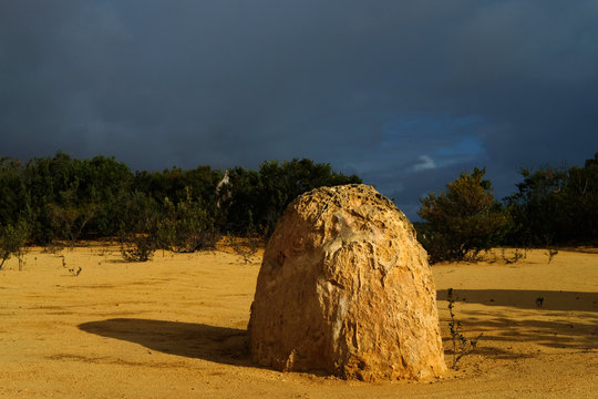 Yellow stones of Pinnacle Desert. Australia
