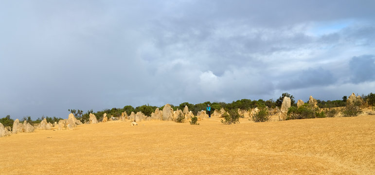 Yellow stones of Pinnacle Desert. Australia