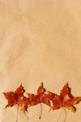 Naklejka na ściany i meble autumn red leaves on yellow background