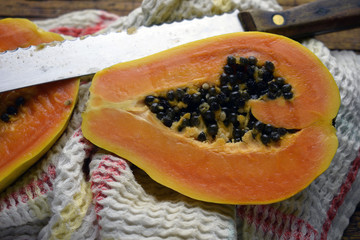 Carica papaya ft8111 Papaia Παπάγια पपीता 