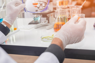 Scientist in white medical gloves a test sample chemical glass plate in laboratory.
