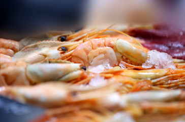 Macro photo of fresh bright shrimps in the ice on a shop