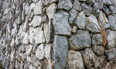 bark of a tree