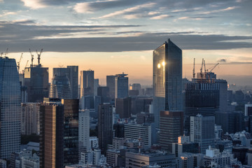 Obraz premium Tokyo cityscape at dusk view from observatory of World Trade Center building