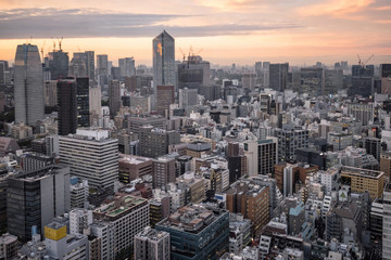 Obraz premium Tokyo cityscape at dusk view from observatory of World Trade Center building