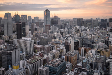 Tokyo cityscape at dusk view from observatory of World Trade Center building