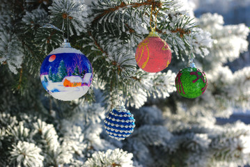 Colored balls hanging on a snowy Christmas tree