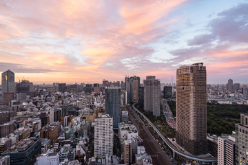 Naklejka na ściany i meble Tokyo cityscape at dusk view from observatory of World Trade Center building