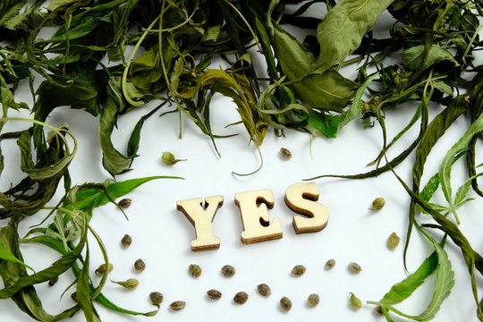 The frame is composed of dry leaves of marijuana and cannabis grains. The word YES is made of wooden letters.
