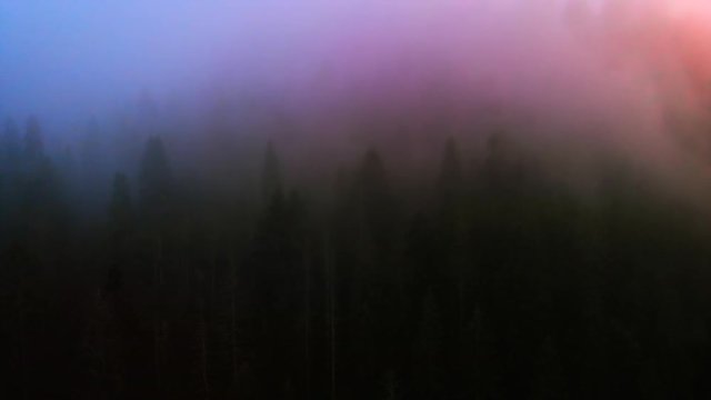 Drifting mist over the forests. Blurred, unsharp abstract footage