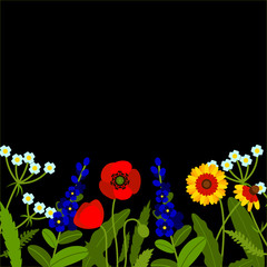 Horizontal border with field flowers isolated on black. Vector illustration. Summer flowers design.